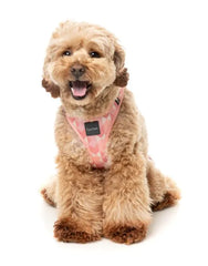 Pink Lemonade - Dog Step In Harness