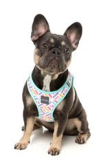 Bubble Gum Burst - Dog Step In Harness