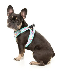 Bubble Gum Burst - Dog Step In Harness