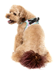 Bubble Gum Burst - Dog Step In Harness