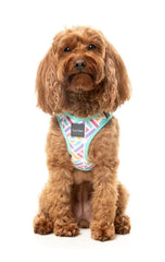 Bubble Gum Burst - Dog Step In Harness