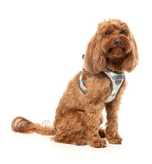 Carioca - Dog Step In Harness