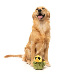Goose - Dog Toy