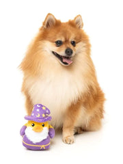 Sirius Quack - Dog Toy