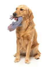 Peace Out Pigeon - The Yeetz - Dog Toy
