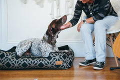 Solstice Stormy Night Lounge Bed - FINAL SALE NO RETURNS OR EXCHANGES