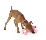 Flo The Flamingo Plush Dog Toy