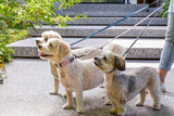 FuzzYard Life Dog Lead - Myrtle Green