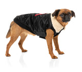 The Zoomie Jacket - Black - SPECIAL OFFER!