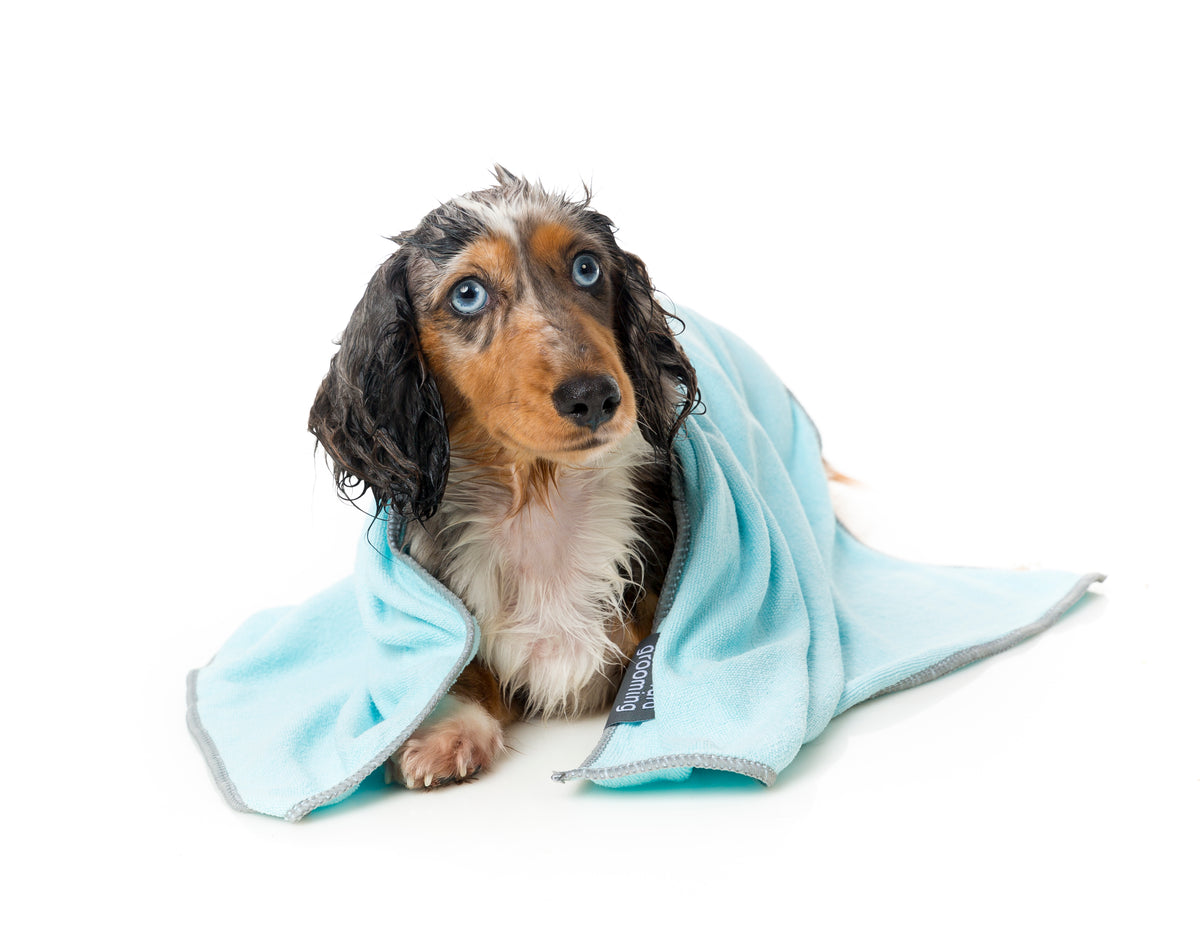 Microfibre Drying Towel For Puppies,  Blue With Grey Trim